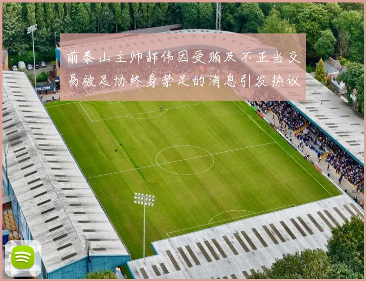 前泰山主帅郝伟因受贿及不正当交易被足协终身禁足的消息引发热议